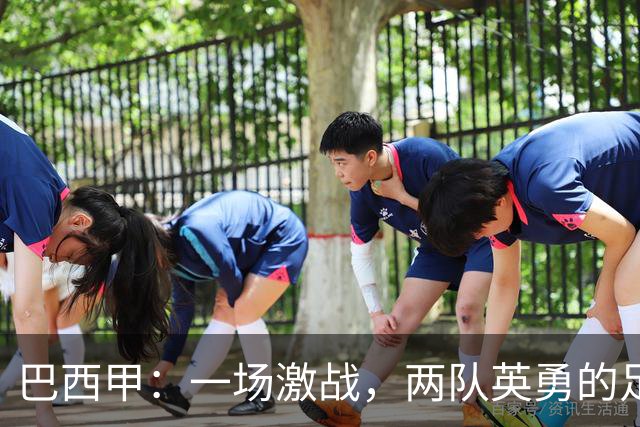 巴西甲：一场激战，两队英勇的足球盛宴