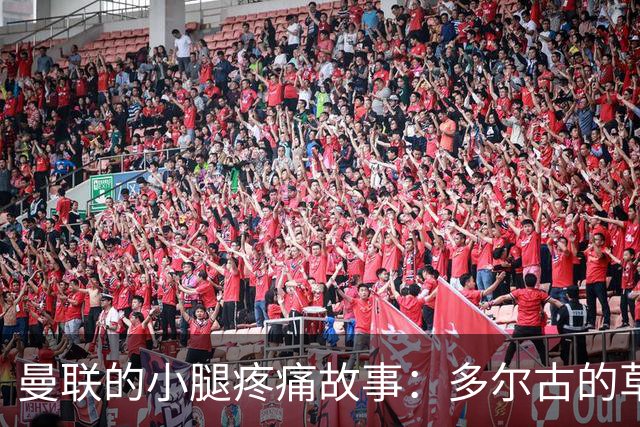 曼联的小腿疼痛故事：多尔古的草坪小插曲
