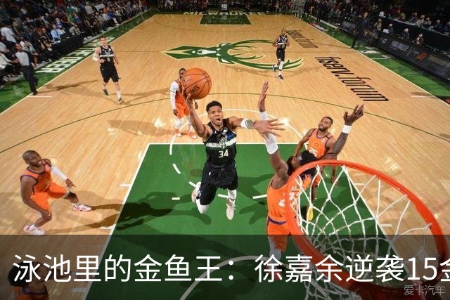 泳池里的金鱼王：徐嘉余逆袭15金成亚运传奇